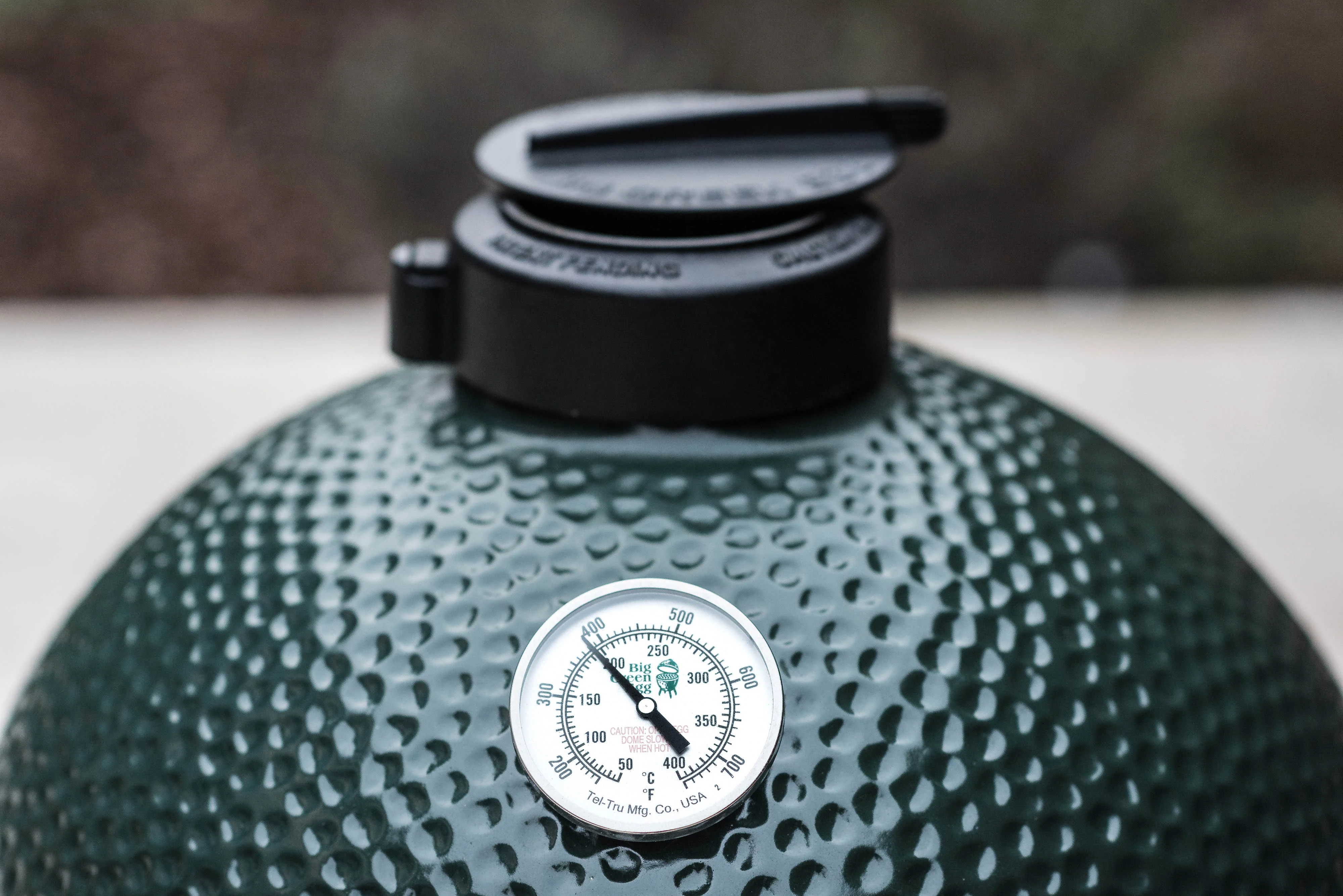 Big Green Egg Small - Barbecue a Carbone - Image 4