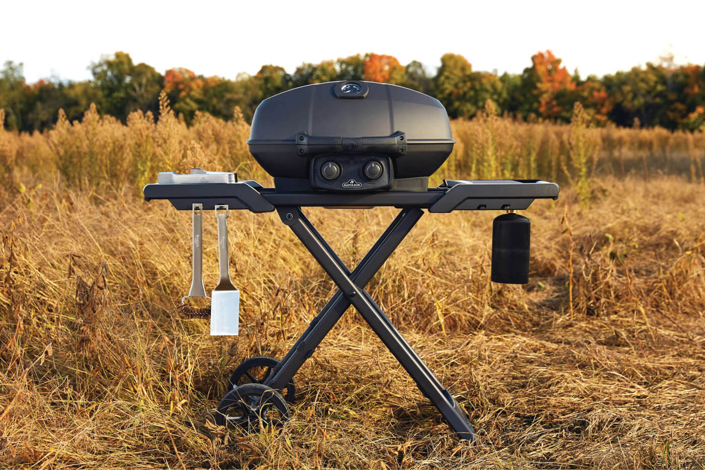 Napoleon Phantom TravelQ PRO285X - Barbecue a Gas - Image 4
