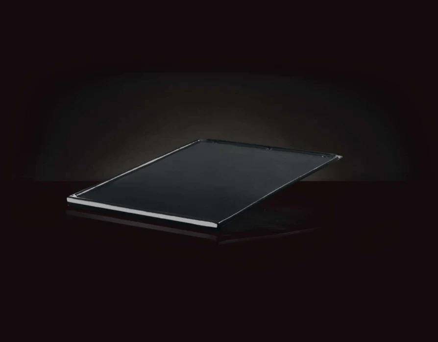 Napoleon - Piastra ghisa reversibile della serie Prestige™/PRO® 500 e LEX 485, 605 - Image 3