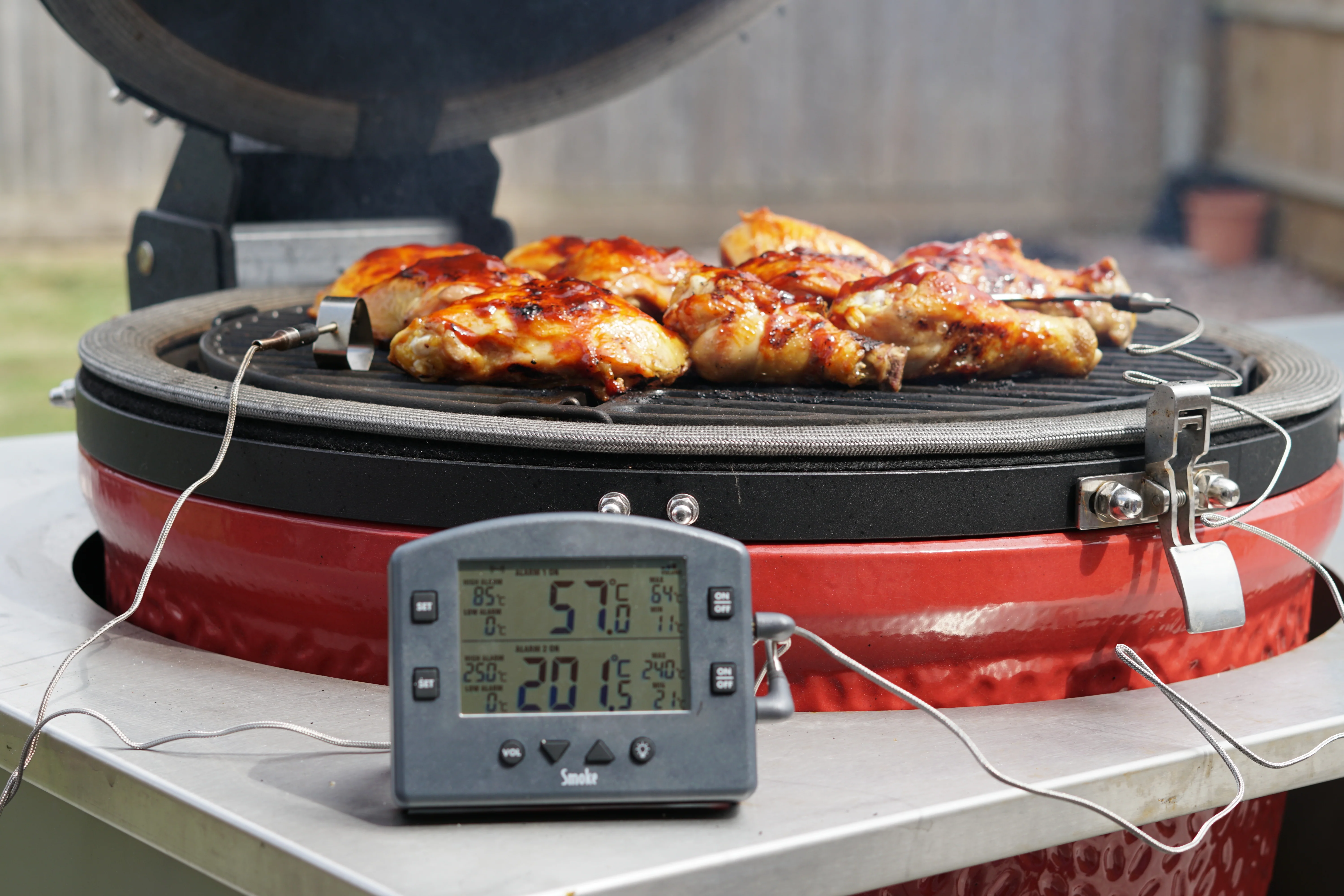 THERMAPEN SMOKE - Wireless Barbecue Thermometer - Image 4